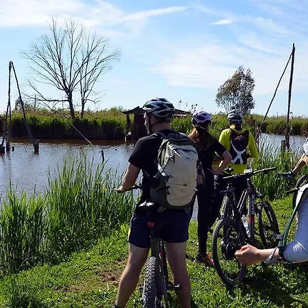 Отель Petit Лидо-ди-Камайоре