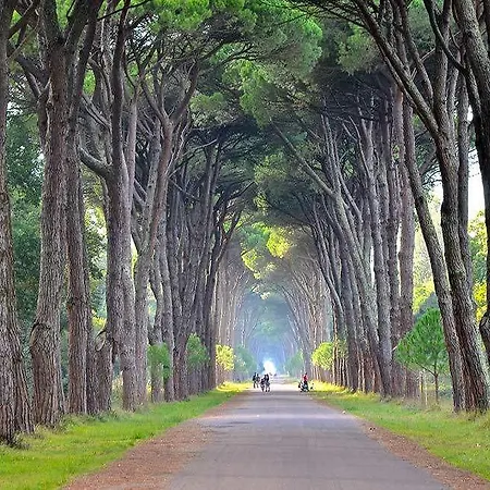 Petit Отель Лидо-ди-Камайоре