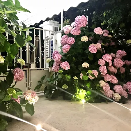 Petit 3* Лидо-ди-Камайоре