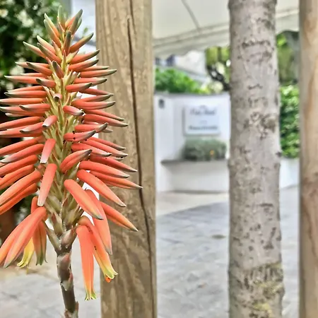 Szálloda Petit Lido di Camaiore