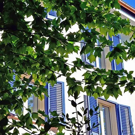 Petit 3* Lido di Camaiore