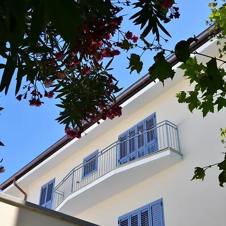 Petit Szálloda Lido di Camaiore