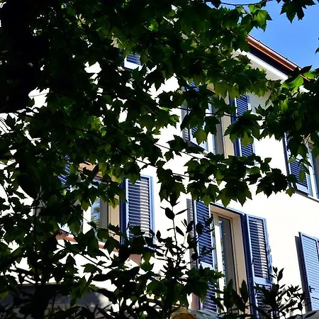Petit Hotel Lido di Camaiore